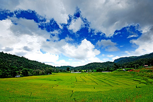 Thailand, Chiang Mai