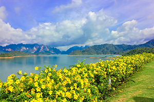 Khao Sok in Thailand