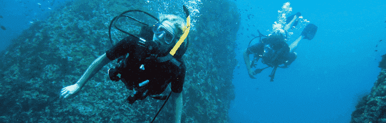 Diving in Koh Phangan