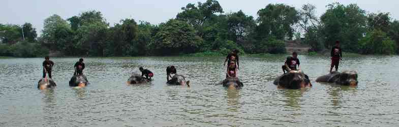 Activities in Ayutthaya